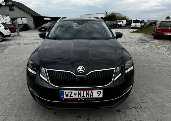 Skoda Octavia cena 64999 przebieg: 135000, rok produkcji 2018 z Łobez małe 667